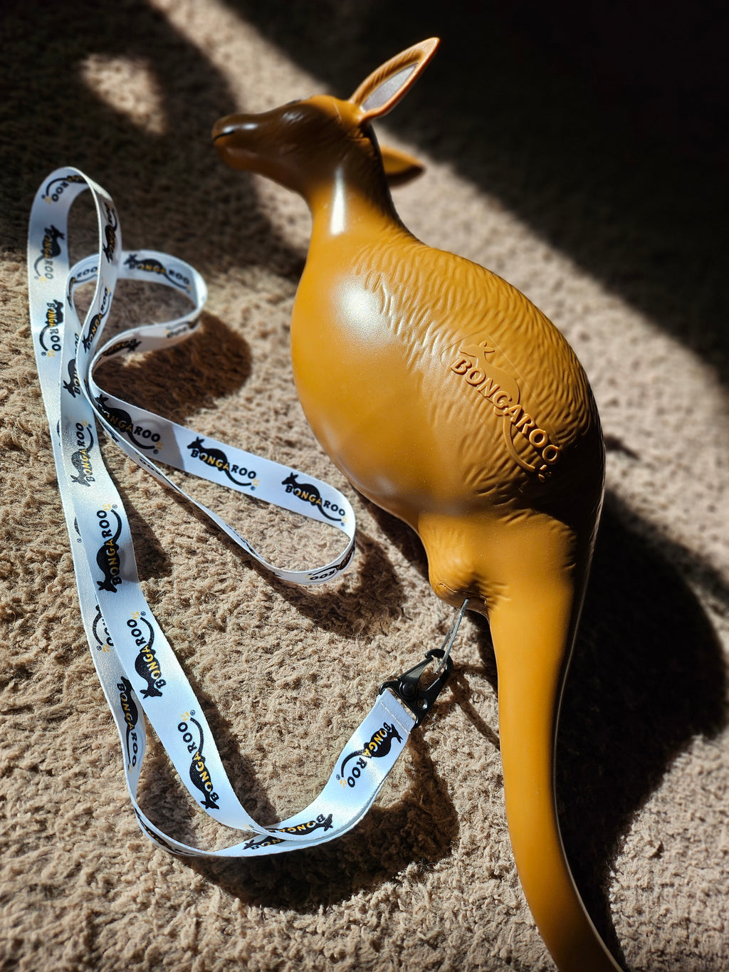 Lanyard