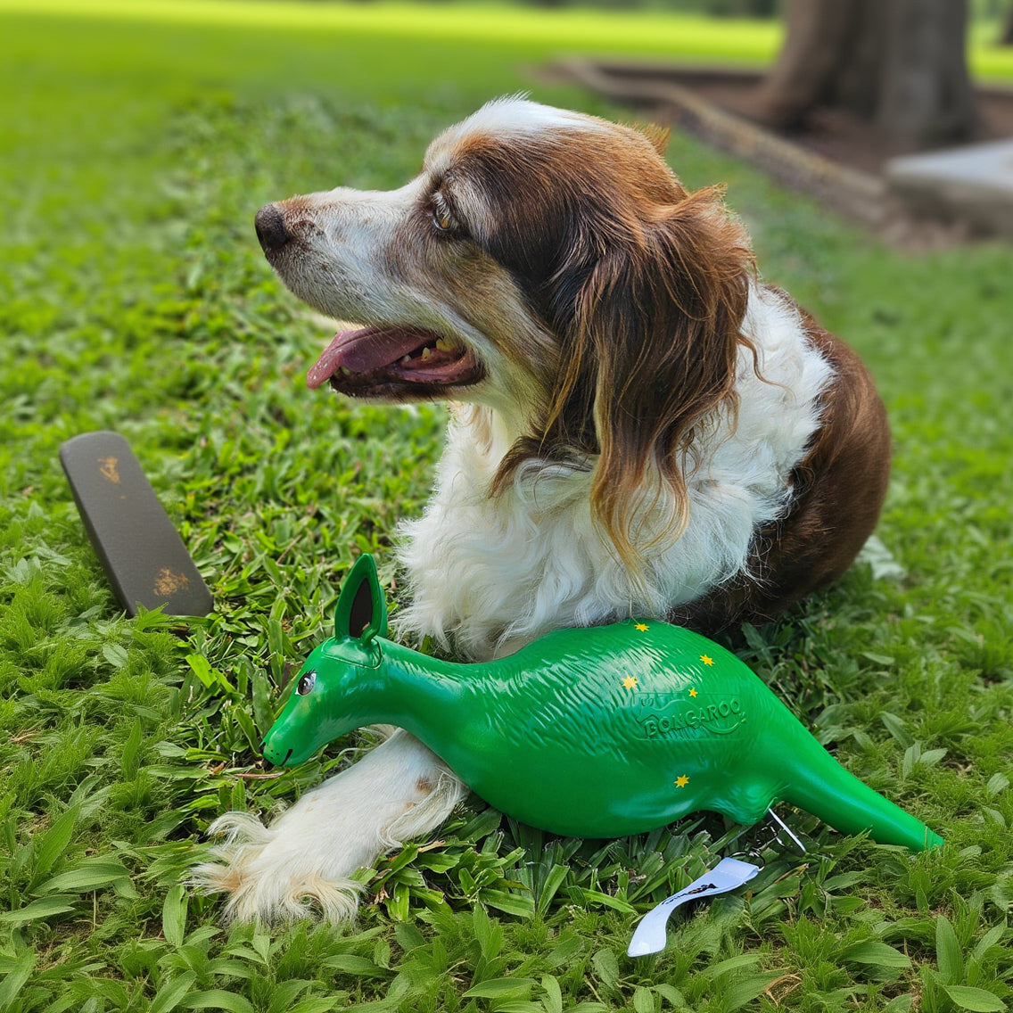 Australia Day Bongaroo - Limited Edition