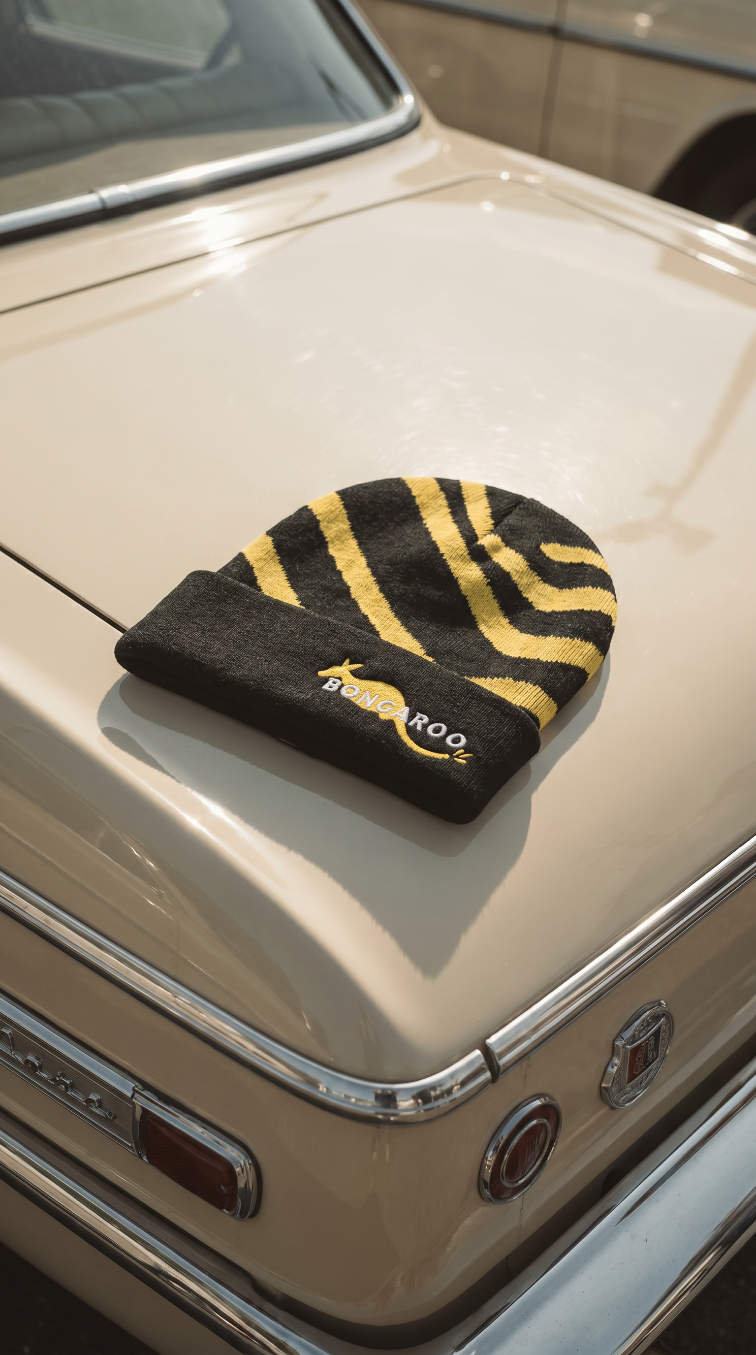 Beanie - Swirl